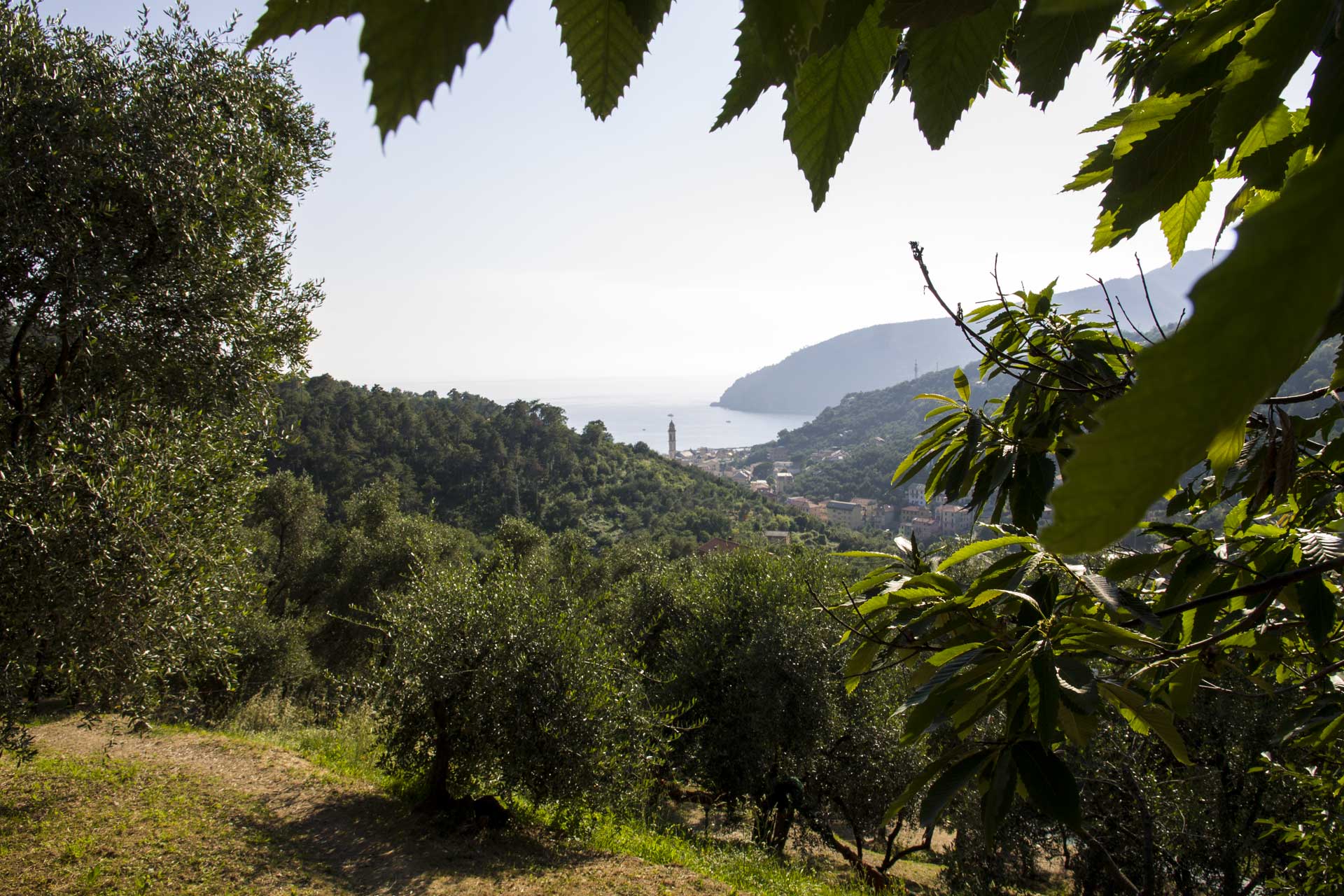 Agriturismo Le Grigue — photo 1