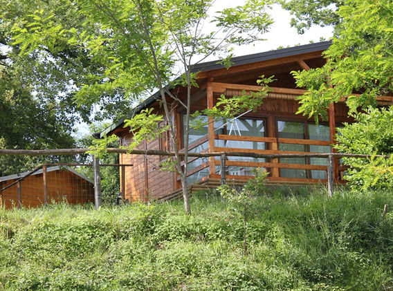 Campeggio Oasi Parco Vacanze