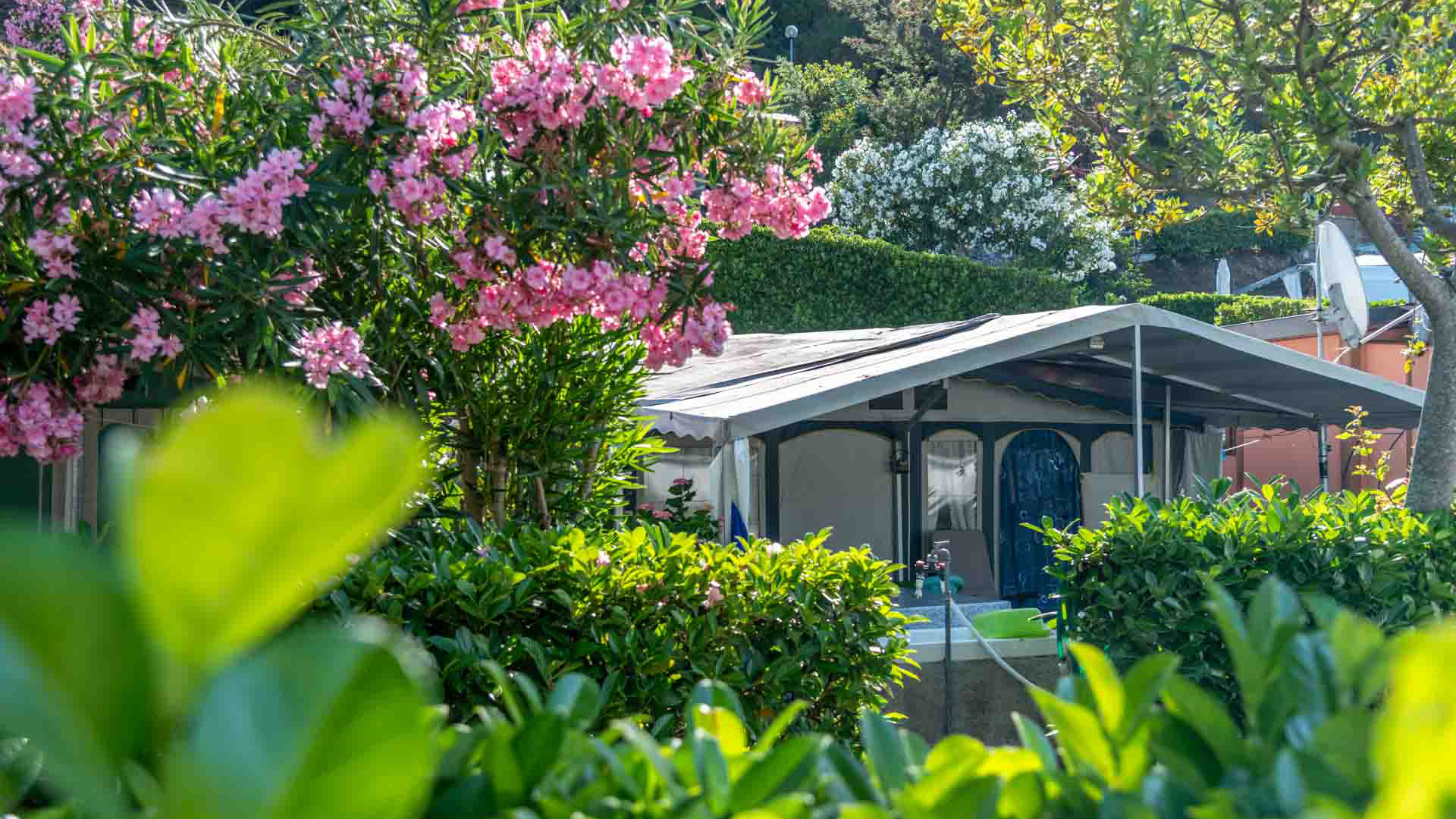 Camping Costabella