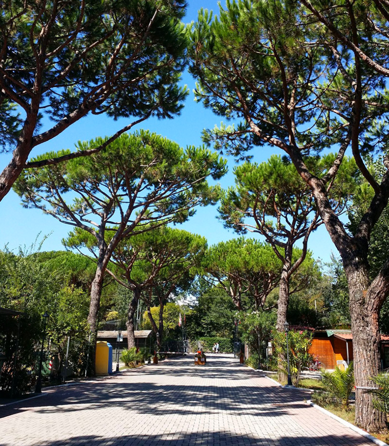 Camping Dal Pino