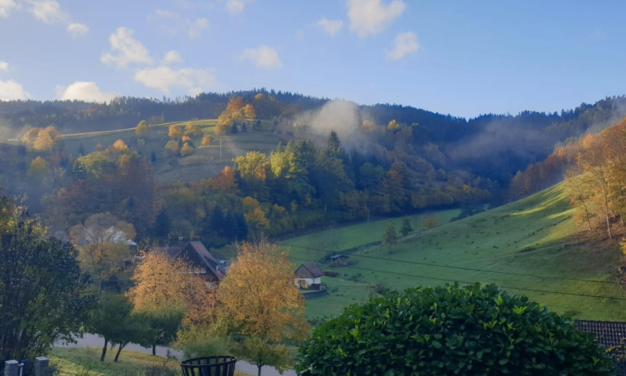 Camping Zur Mühle — photo 1